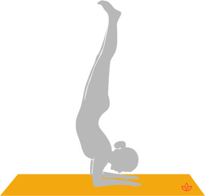 Athletic Woman Doing Elbow Stand Yoga Pose Outstretched Legs Side Stock  Photo by ©PHOTOLOGY1971 385662390